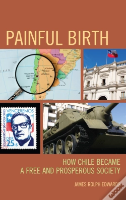 Capa do artigo Painful Birth