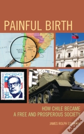 Capa do artigo Painful Birth
