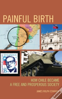 Capa do artigo Painful Birth