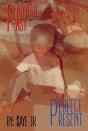 Painful Past Perfect Present - Preview