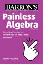 Painless Algebra - Preview