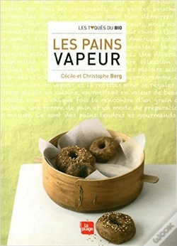 Capa do artigo Pains Vapeur