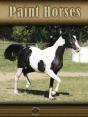 Paint Horses - Preview