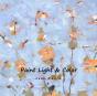 Paint Light & Color - Preview