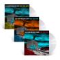 Paint This Town - Vinil - Preview