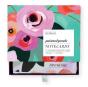 Painted Petals Greeting Assortment Boxed Notecards - Preview