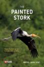 Painted Stork - Preview