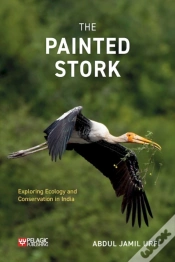 Capa do artigo Painted Stork