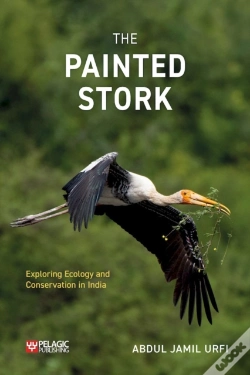 Capa do artigo Painted Stork