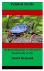 Painted Turtle - Preview