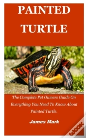 Capa do artigo Painted Turtle