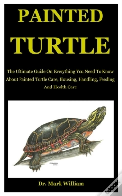 Capa do artigo Painted Turtle