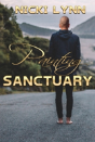 Painting Sanctuary - Preview
