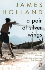 Capa do artigo Pair Of Silver Wings