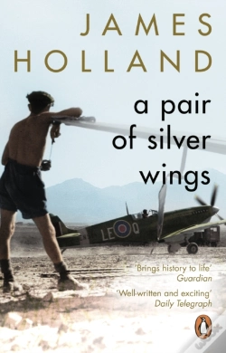Capa do artigo Pair Of Silver Wings