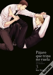 Capa do artigo Pájaro Que Trina No Vuela, Vol. 3
