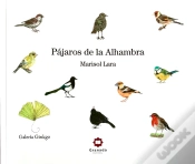 Capa do artigo Pajaros De La Alhambra
