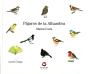 Pajaros De La Alhambra - Preview