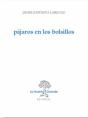 Pájaros En Los Bolsillos - Preview