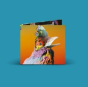 Capa do artigo Palaces - CD