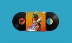 Capa do artigo Palaces - Vinil