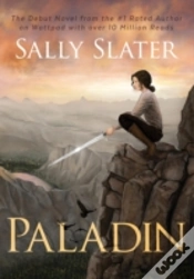 Capa do artigo Paladin