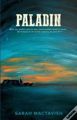 Capa do artigo Paladin
