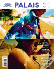 Capa do artigo Palais N  33