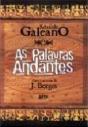 Palavras Andantes - Preview