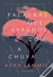 Capa do artigo Palavras Que Aprendi Com A Chuva