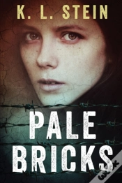 Capa do artigo Pale Bricks