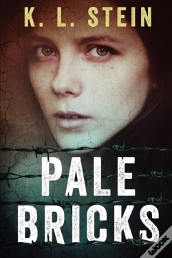 Capa do artigo Pale Bricks