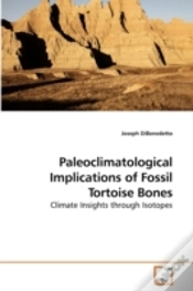 Capa do artigo Paleoclimatological Implications Of