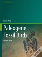 Paleogene Fossil Birds