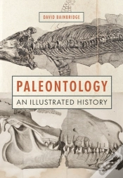 Capa do artigo Paleontology
