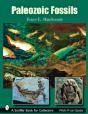 Paleozoic Fossils - Preview