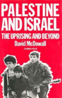 Palestine And Israel - Preview