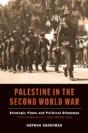Palestine In The Second World War - Preview