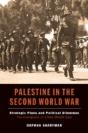 Palestine In The Second World War - Preview