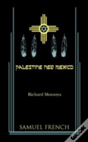 Capa do artigo Palestine, New Mexico