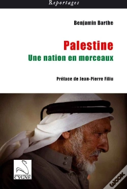 Capa do artigo Palestine ; Une Nation En Morceaux