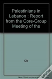 Palestinians In Lebanon Report From