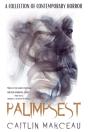 Palimpsest - Preview