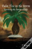Palm Tree In The Storm