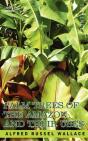 Palm Trees Of The Amazon And Their Uses - Preview