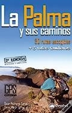 Capa do artigo Palma Y Sus Caminos, La