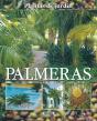 Palmeras - Preview