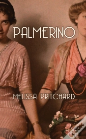Capa do artigo Palmerino
