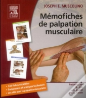 Palpation Osseuse