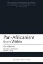 Pan-Africanism From Within - Preview